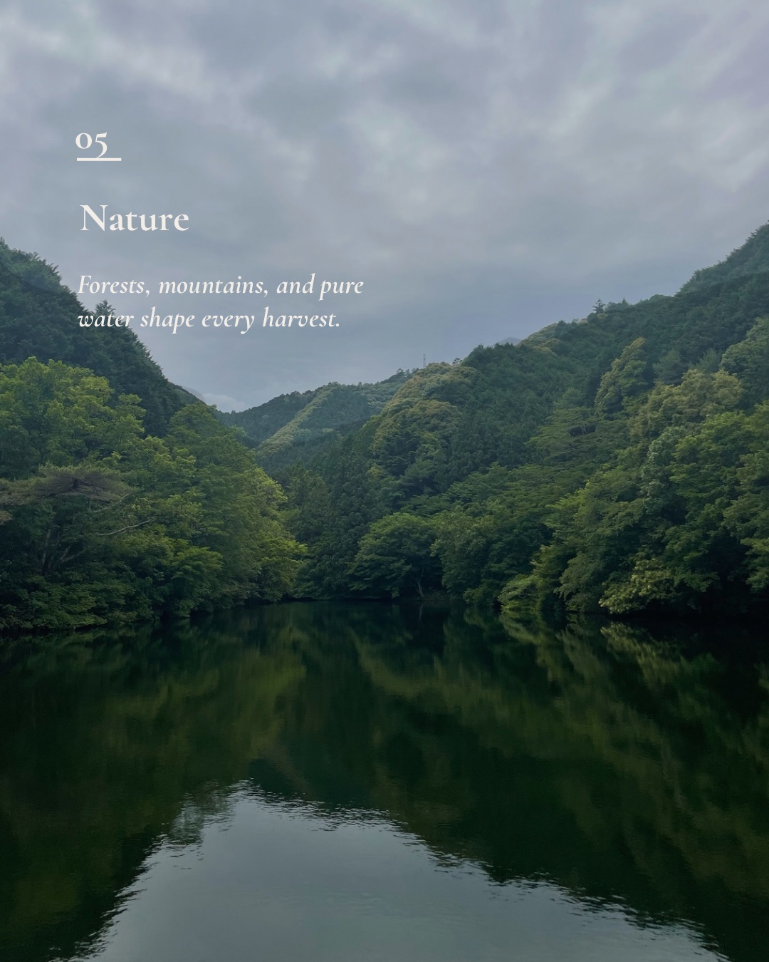 Forests, mountains and pure water reflected in an Ise lake